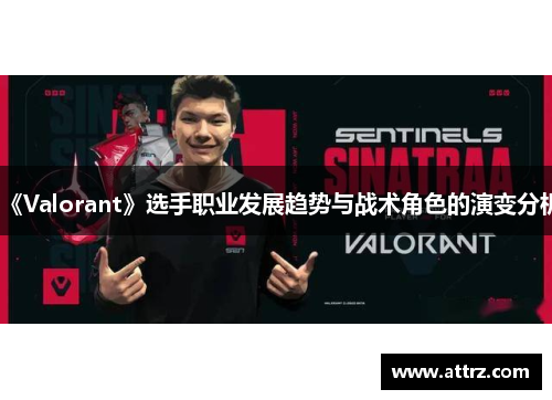 《Valorant》选手职业发展趋势与战术角色的演变分析
